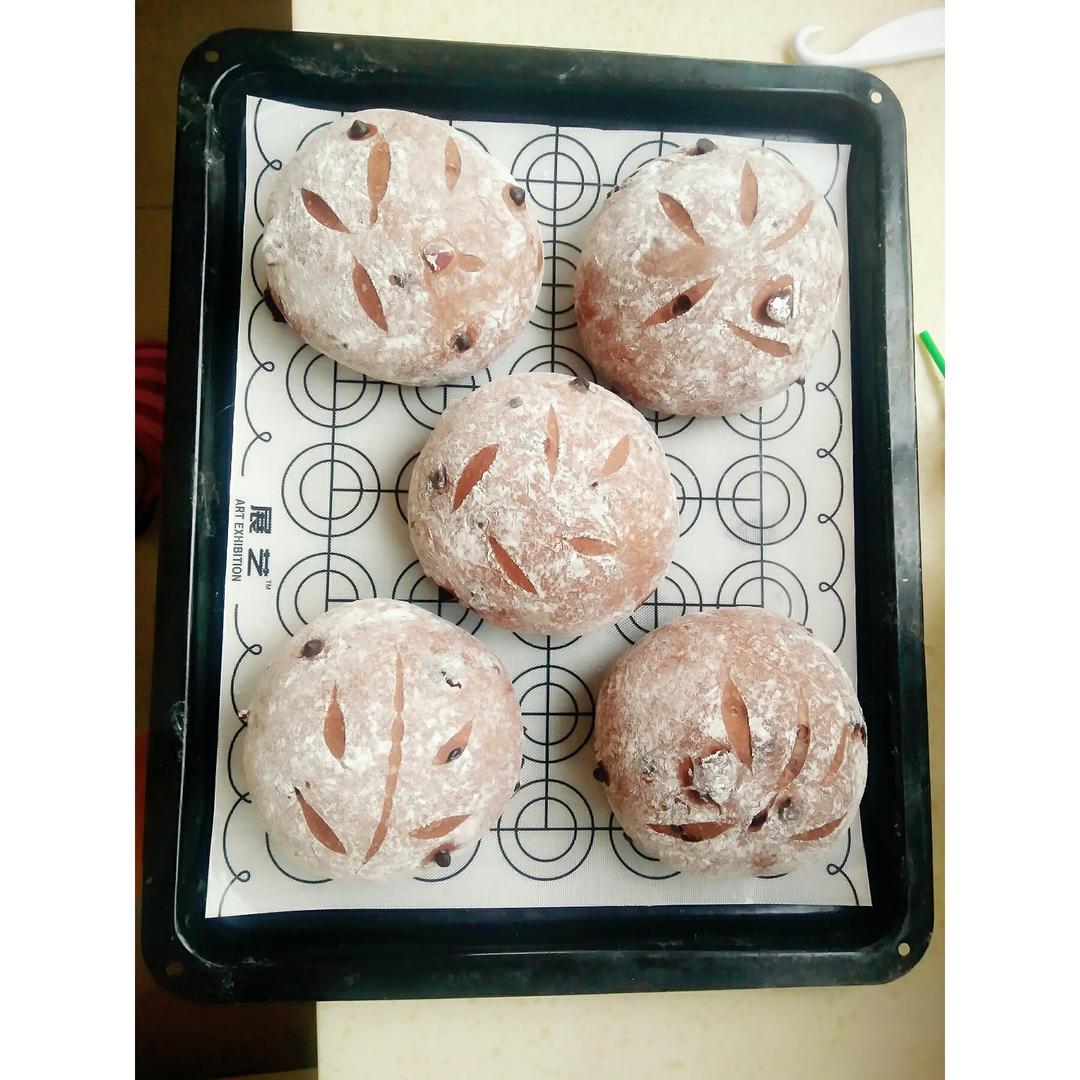 巧克力蔓越莓软欧 Rano Bread