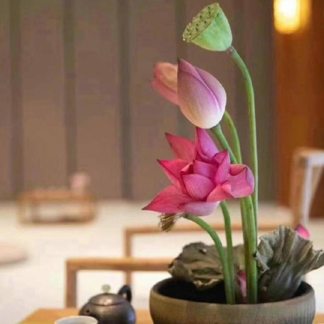 周末就做美食