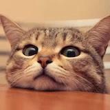 淘气甜甜圈的厨房