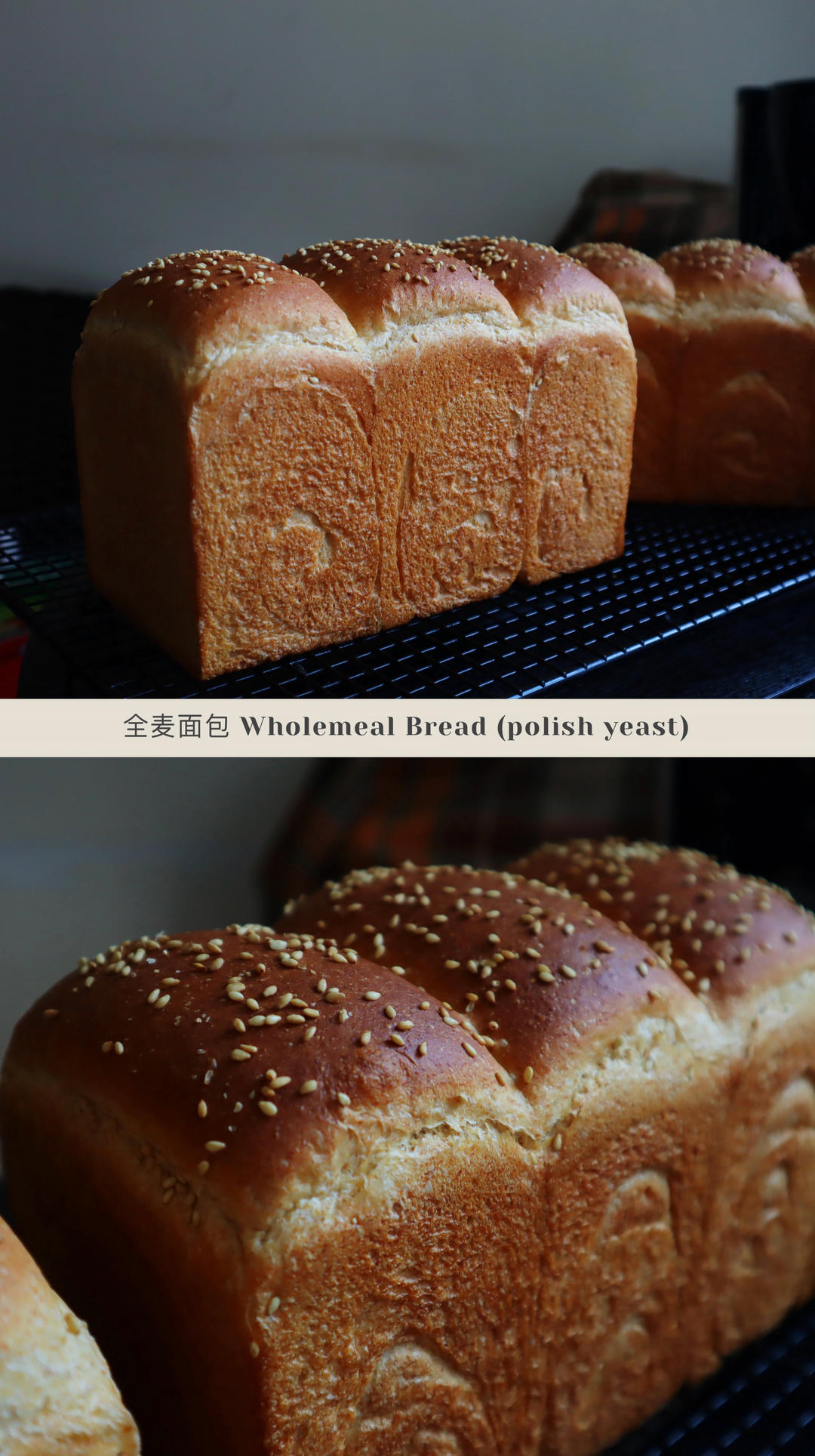 全麦吐司