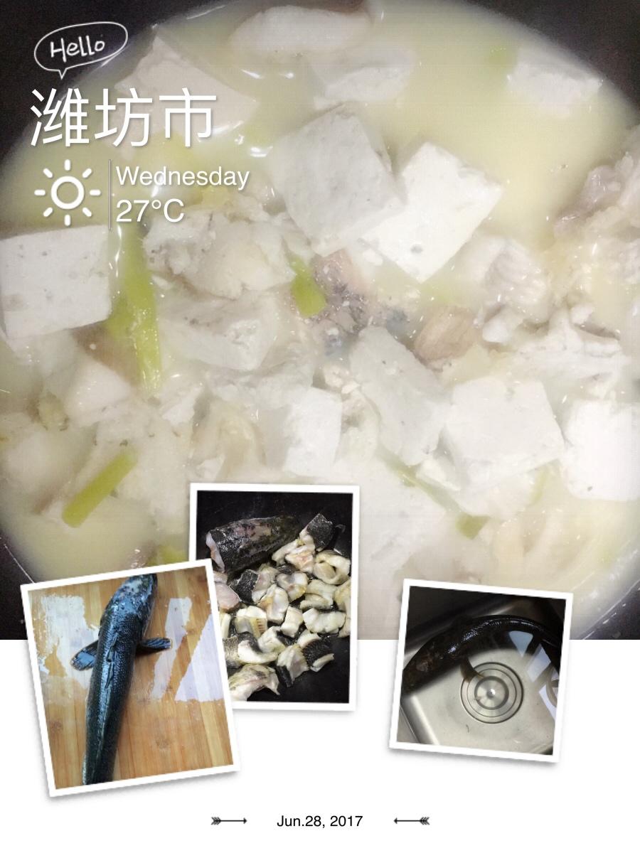 黑鱼豆腐汤