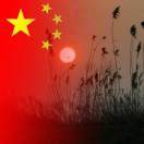 面包初出茅庐