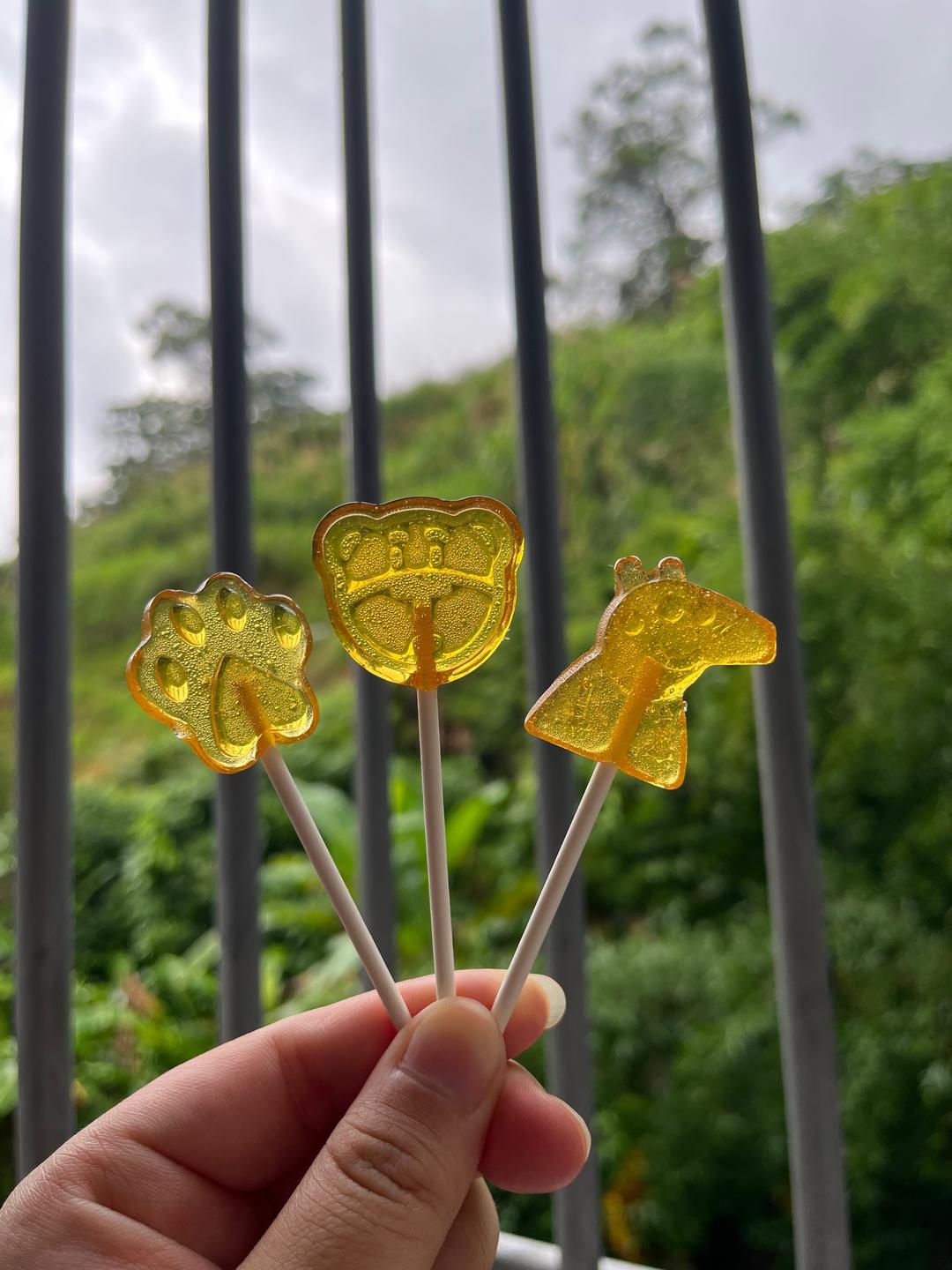 低糖水果棒棒糖