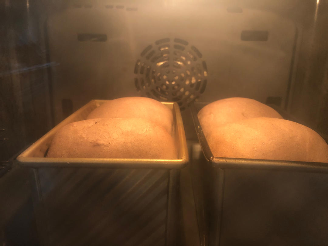 50%全麦吐司｜低糖低脂，吃起来不像是吃全麦的全麦吐司！