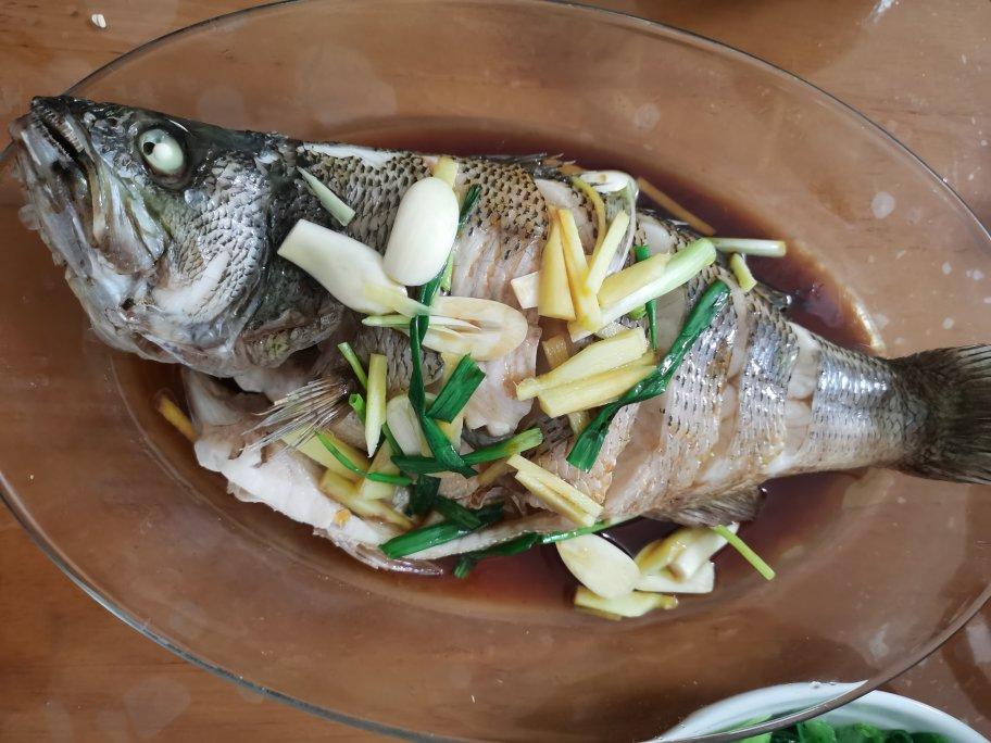清蒸鲈鱼