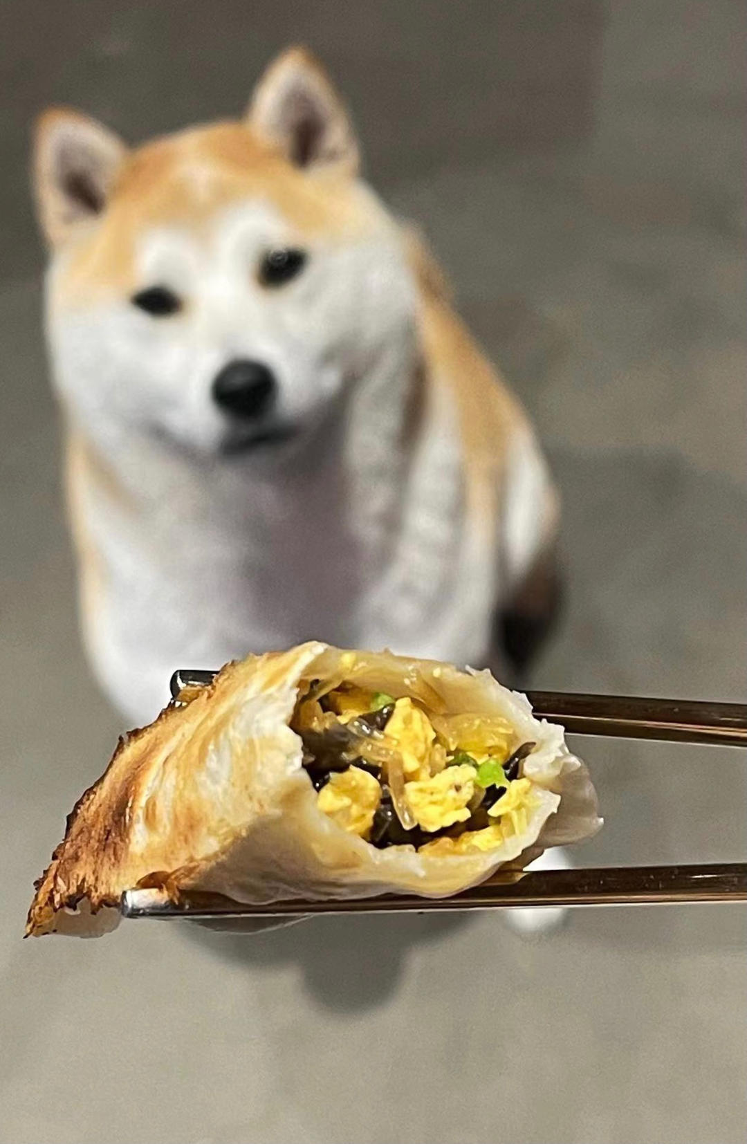 赵家馆素饺子复刻一辈子爱