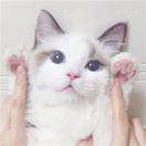 手机用户7612_gq05