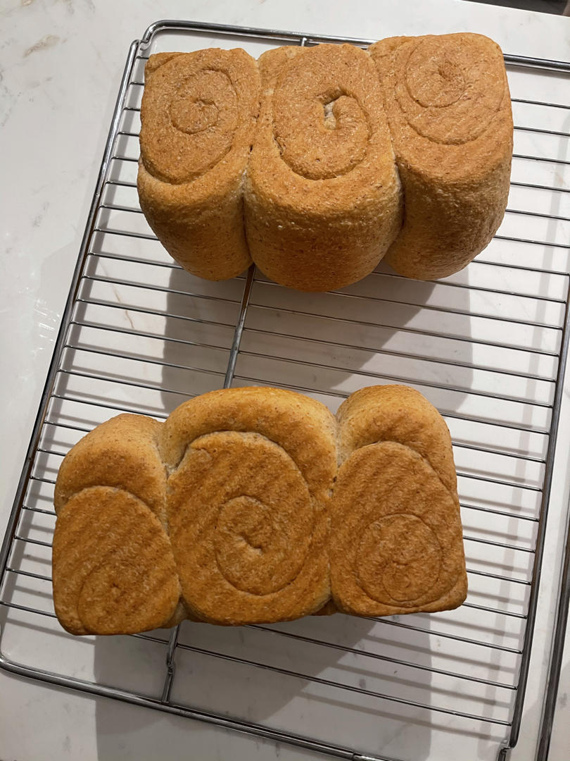 夺命软吐司(๑´ڡ`๑)超软拉丝极速方便的一次发酵吐司