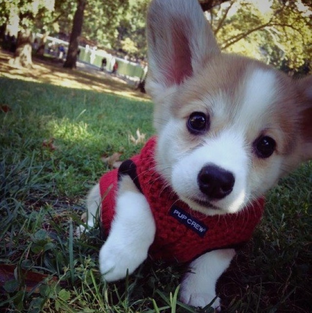 手机用户3188340274