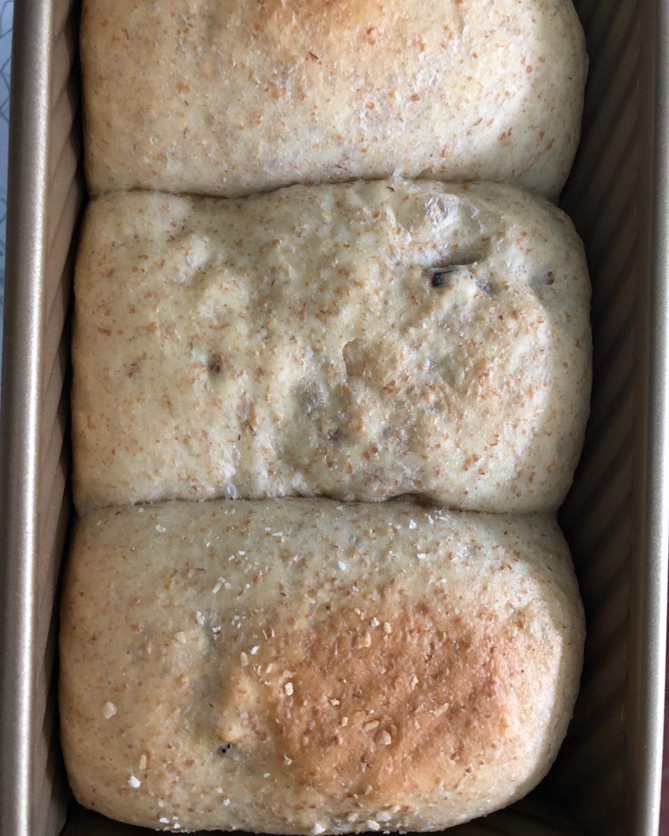 夺命软吐司(๑´ڡ`๑)超软拉丝极速方便的一次发酵吐司