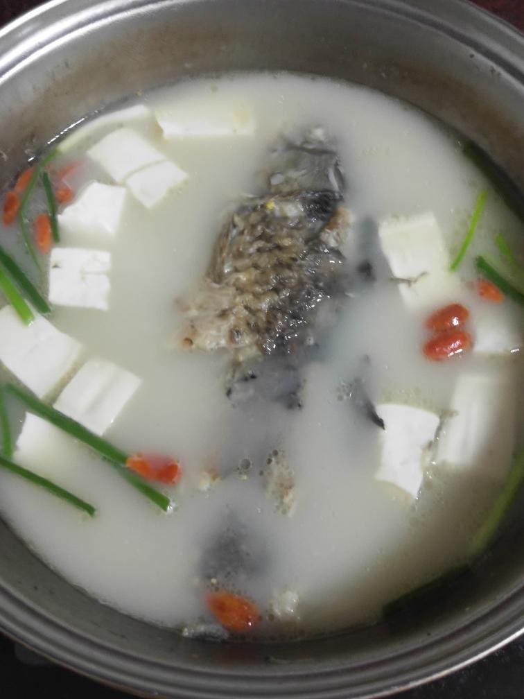 儿童营养餐-鲫鱼豆腐汤