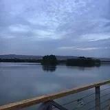 田田天