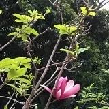 快乐的猫宝贝