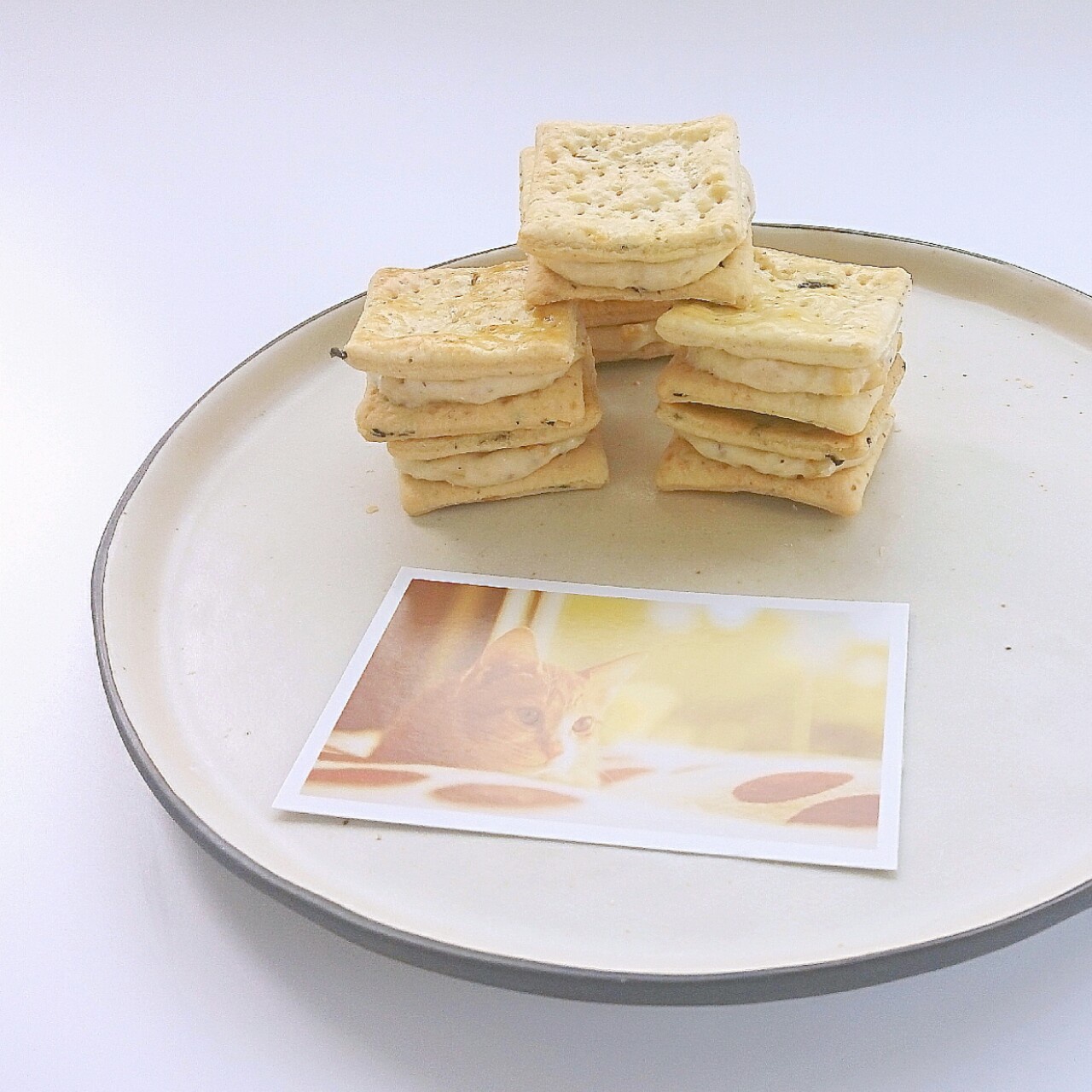 高钙奶盐苏打饼干