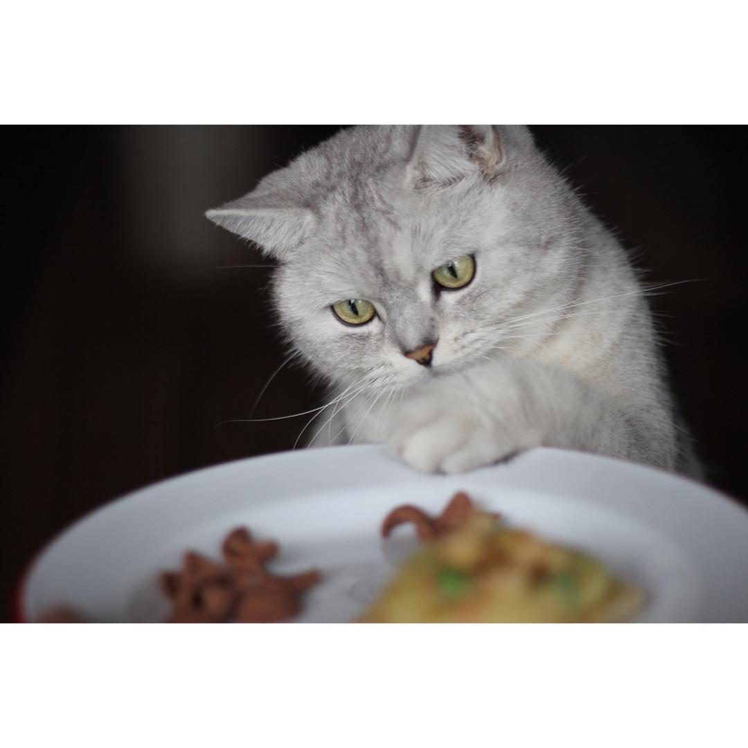 土豆泥（最美味科学的终极版本）