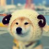 阿耶_rc2f