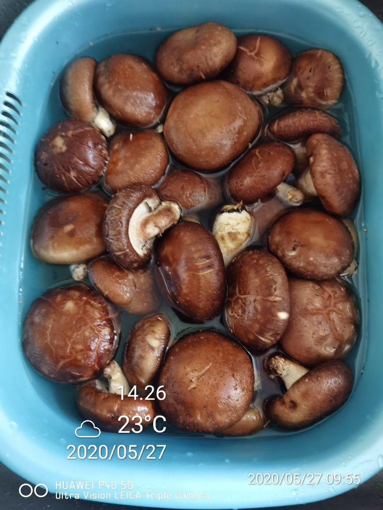 宝宝辅食——香菇粉