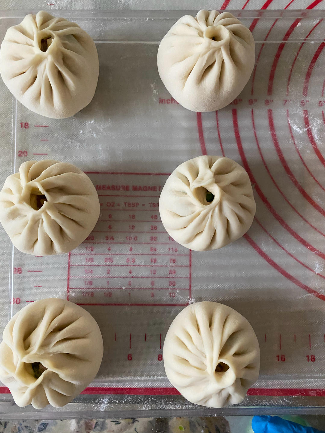 秒杀绿杨邨的香菇菜包