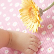 钟_嘉有个小cheng子