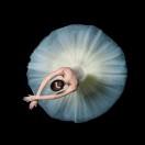 稳稳的幸福殿堂