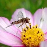 做饭不好起名不会