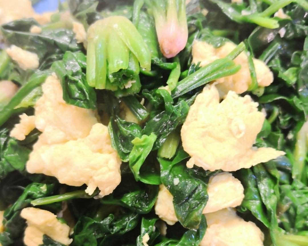 蛋炒菠菜-矮脚红根菠菜的正确打开方式