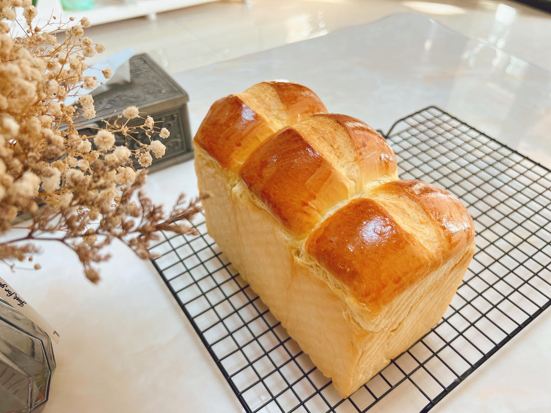 🌟只需一发的软妹子🌟奶香吐司🍞