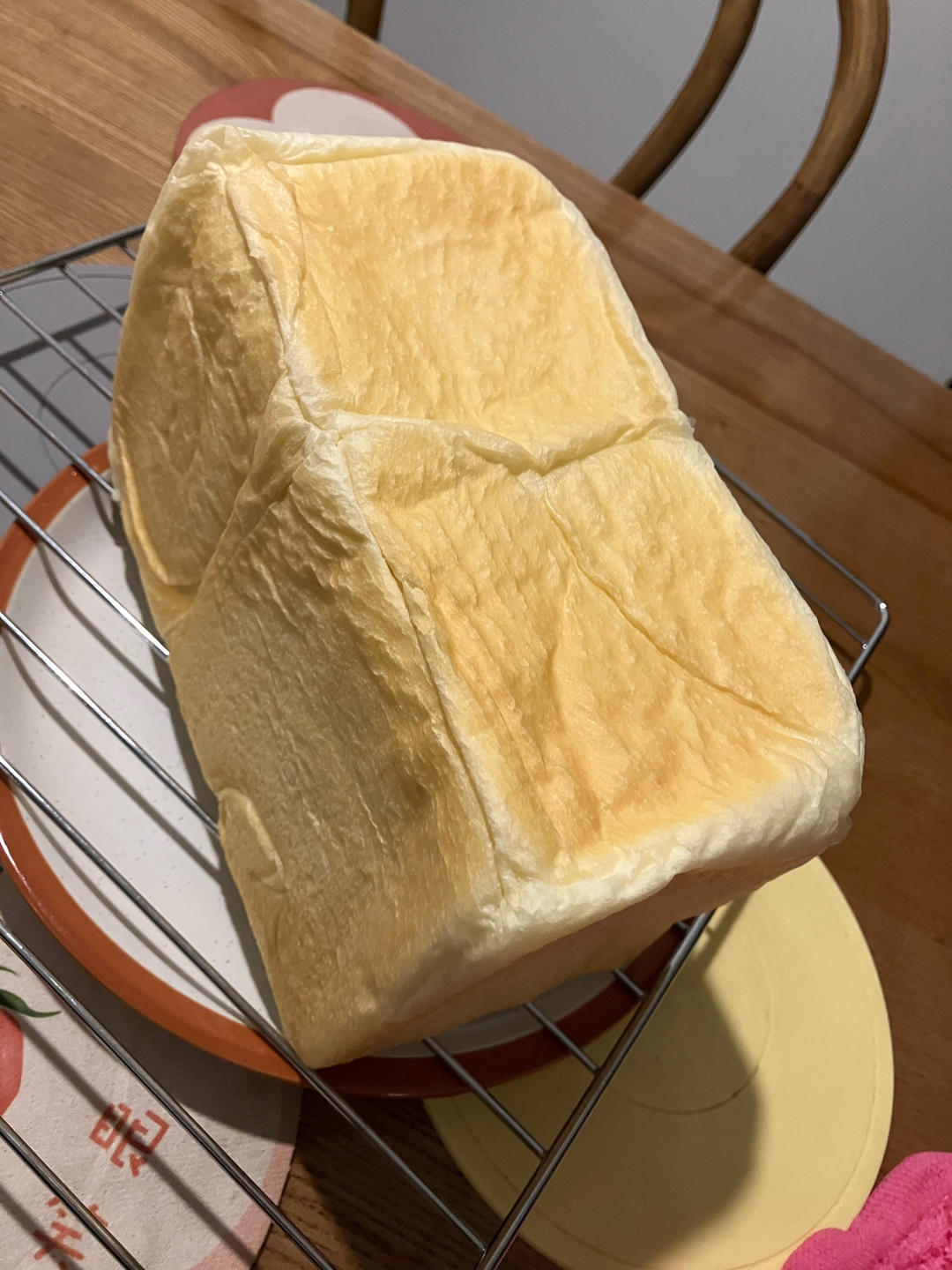 🍞狗子吐司记录贴🍞
