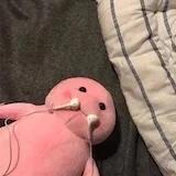 薯片小姐TAT