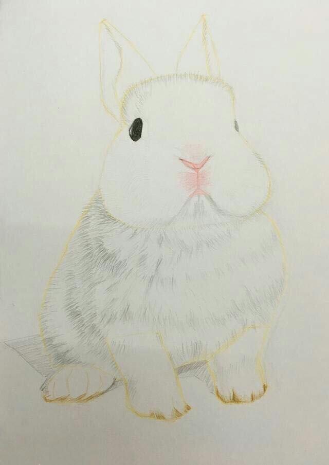 椰蓉蜜豆泡浆面包