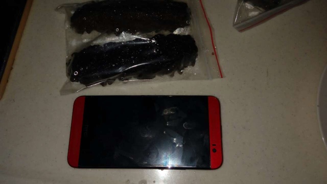 海参泡发攻略