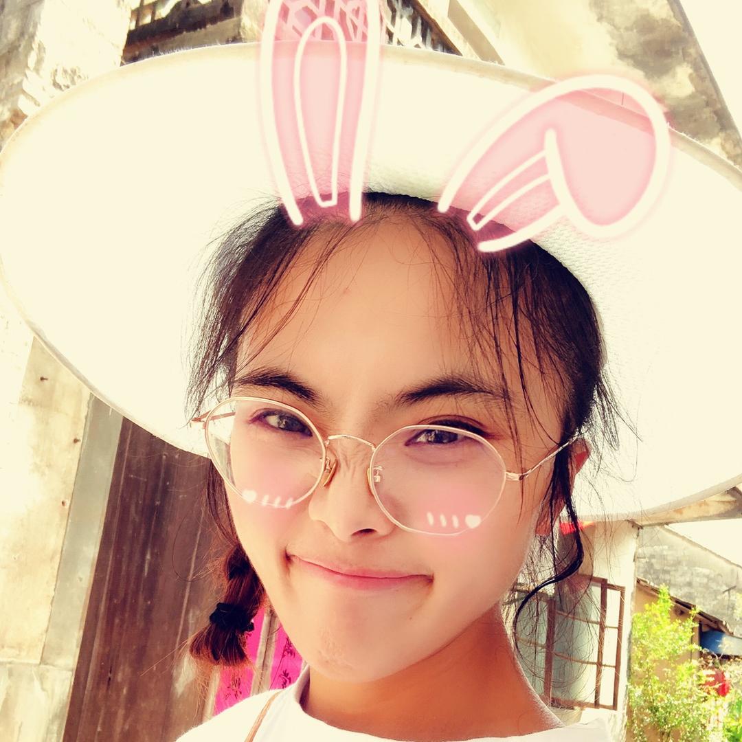 不太肥的燕子