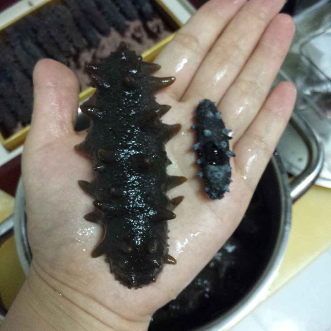 家庭如何泡发干海参
