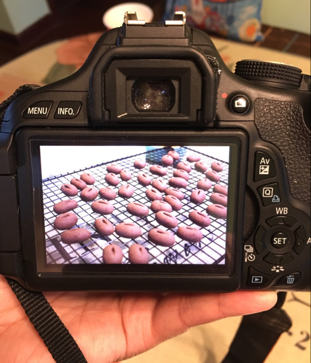 咖啡豆豆饼干