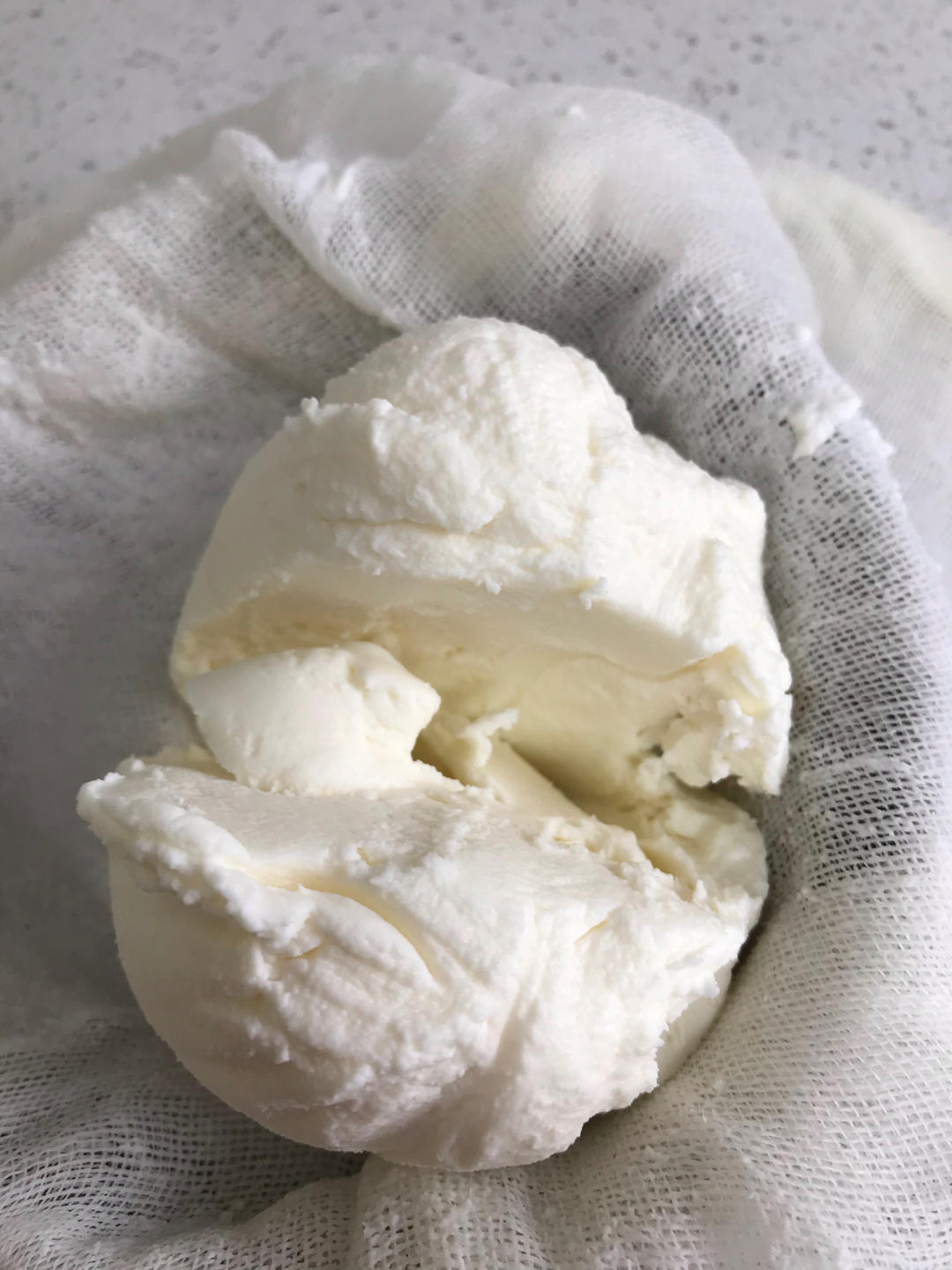 自制奶酪（酸奶版）