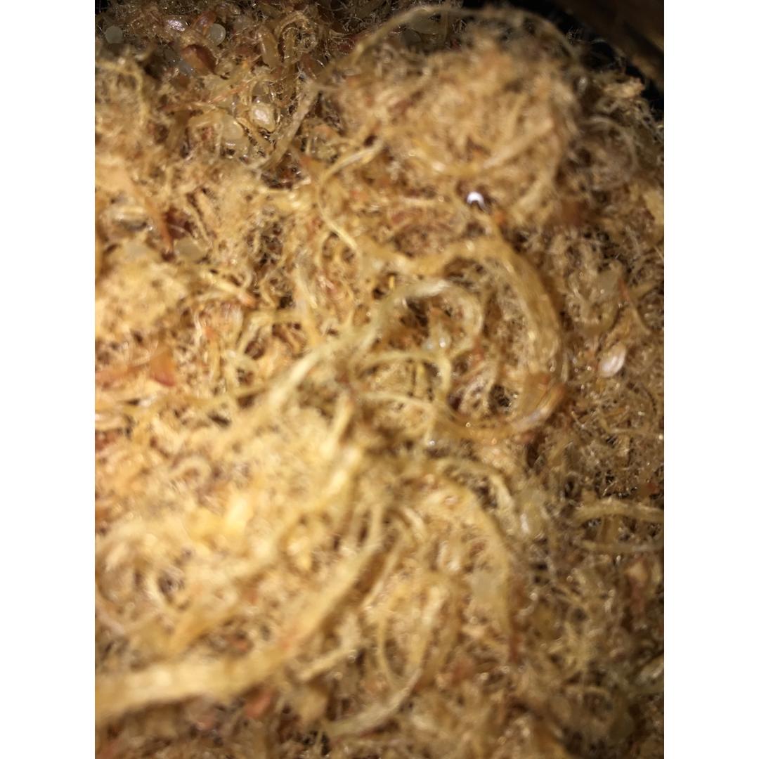 面包机做猪肉松