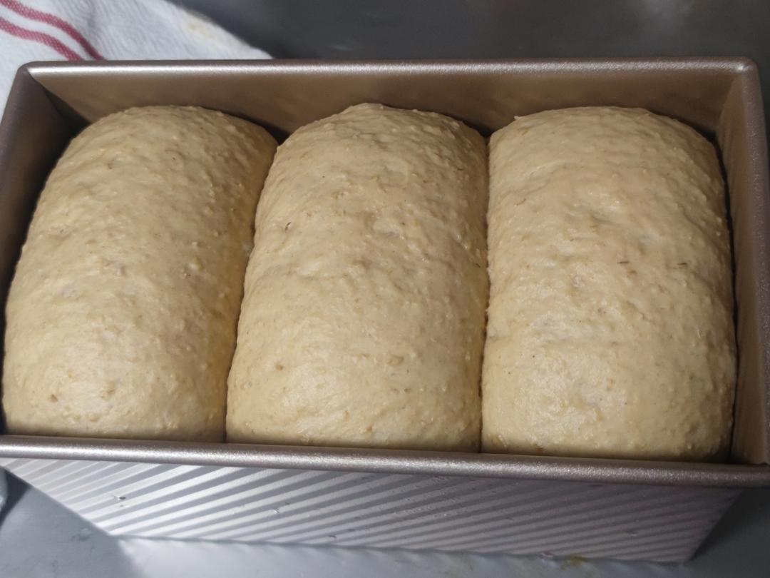 蜂蜜燕麦全麦吐司 100%全麦 波兰种