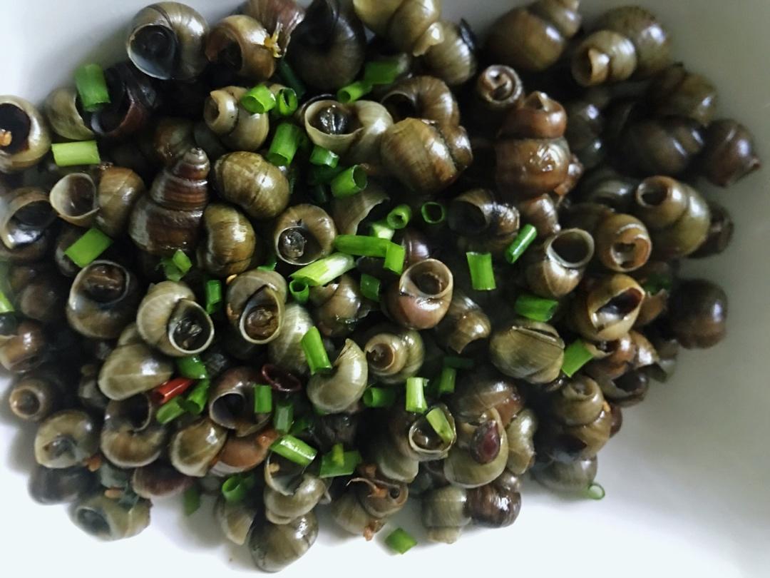 清明将至，嗦一口肥嫩鲜美的螺蛳吧！