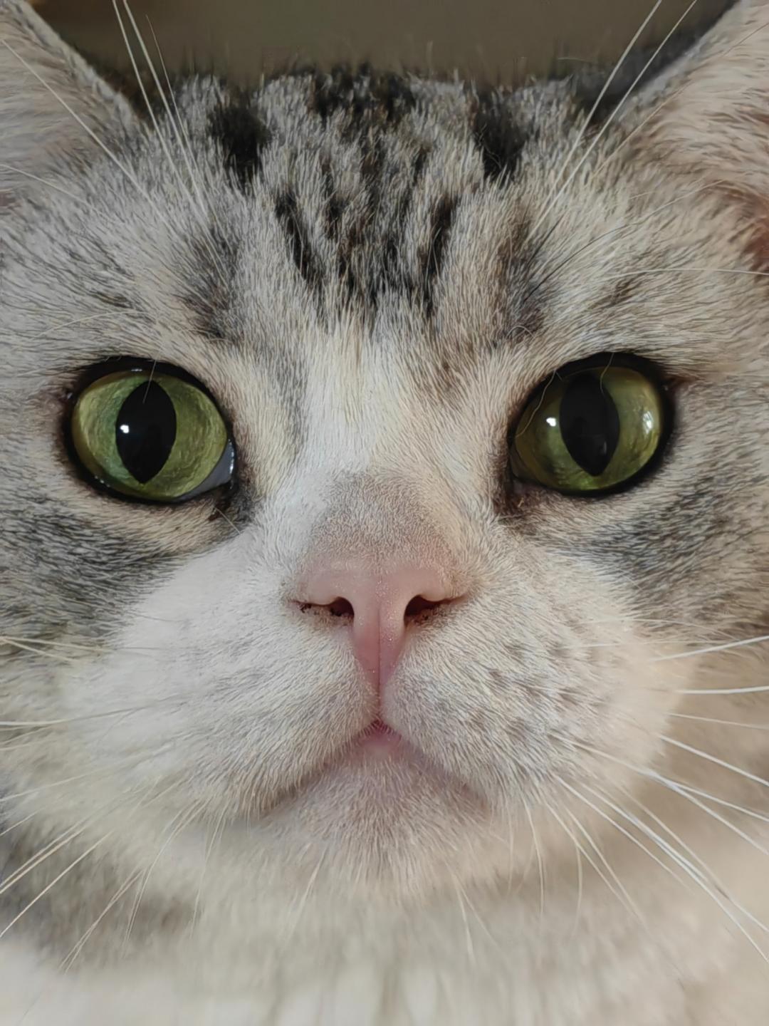 不会做饭的老铁