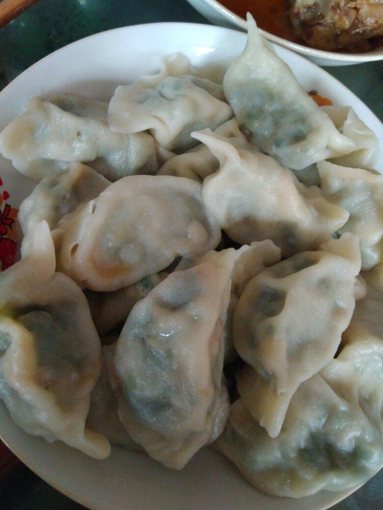 韭菜猪肉水饺
