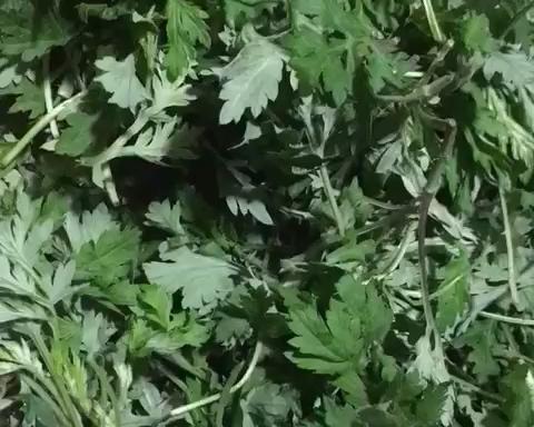 艾糍（青团）的做法