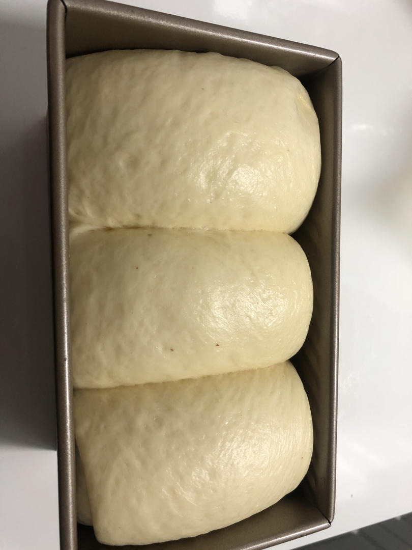 中种淡奶油吐司（冷藏发酵）