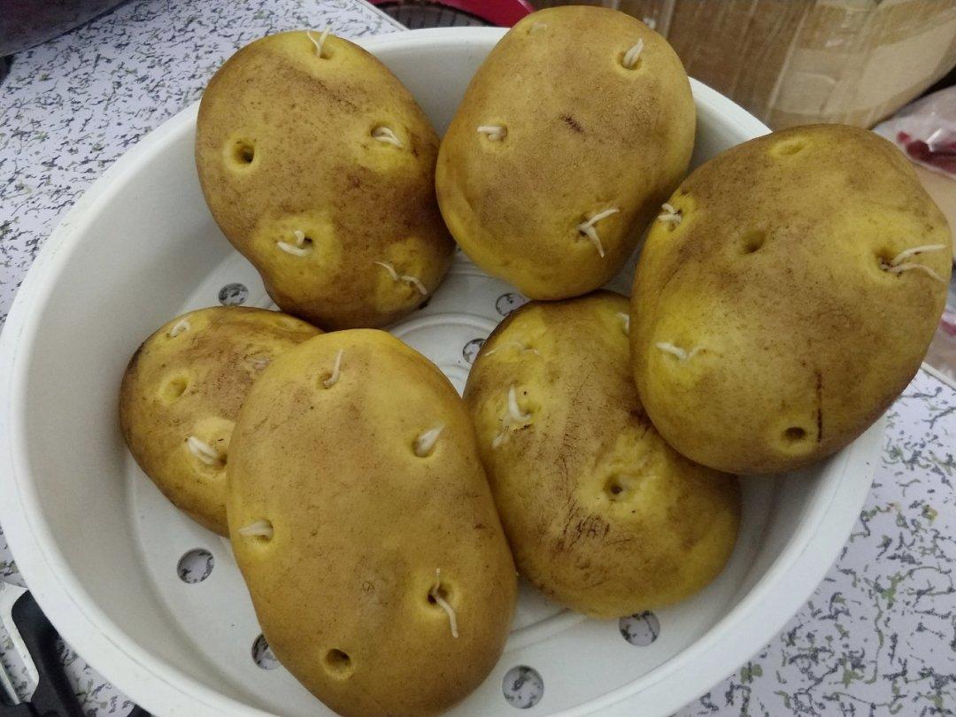(土豆)馒头