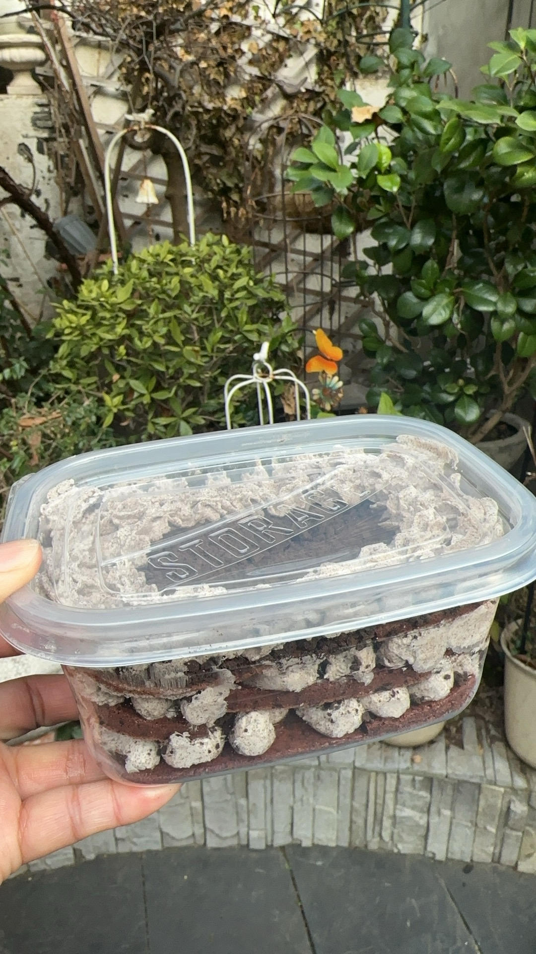 好吃到流泪的奥利奥咸奶油盒子蛋糕