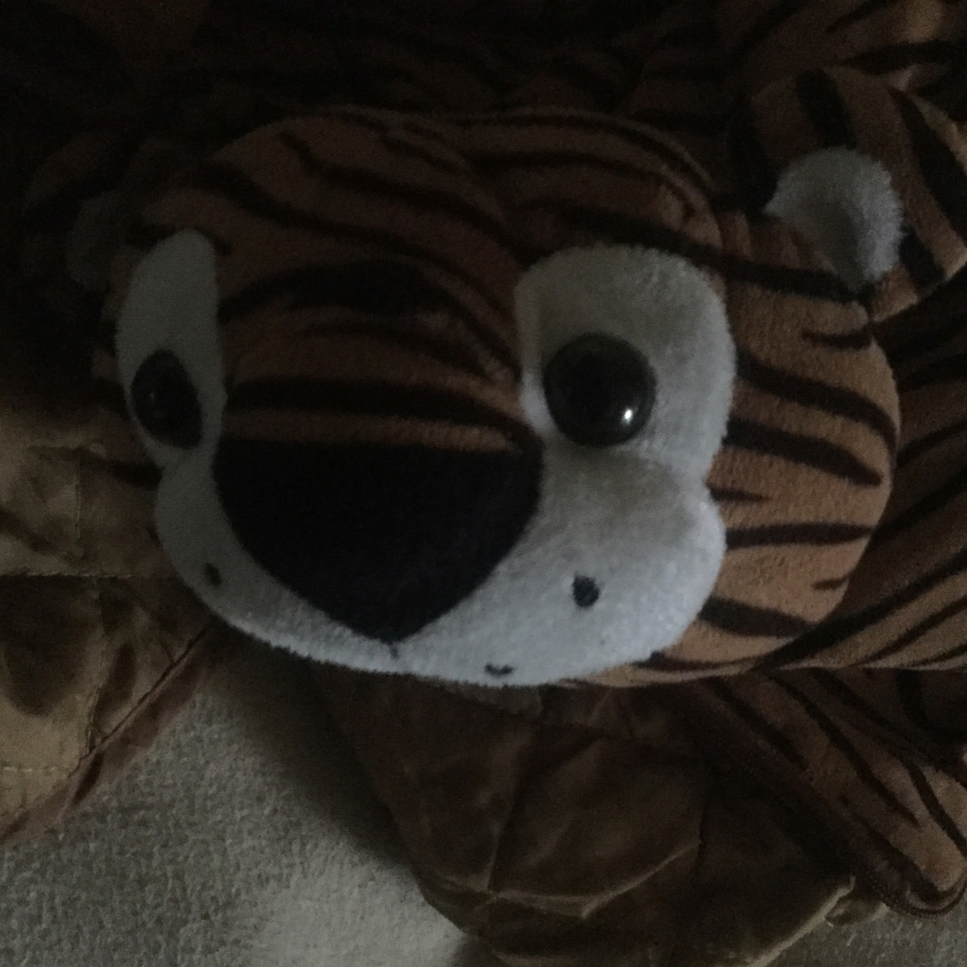 让当地人点点滴滴