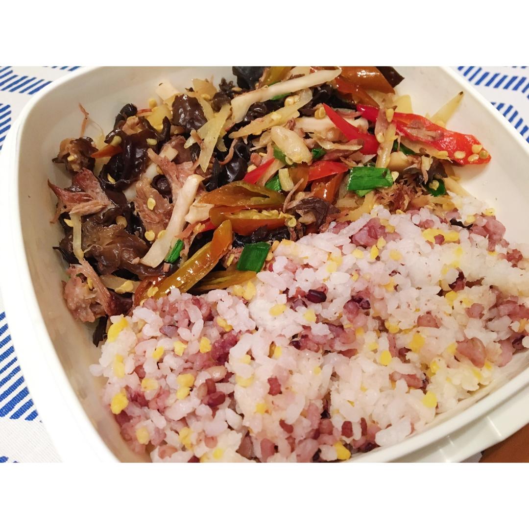 饲养员的日常便当