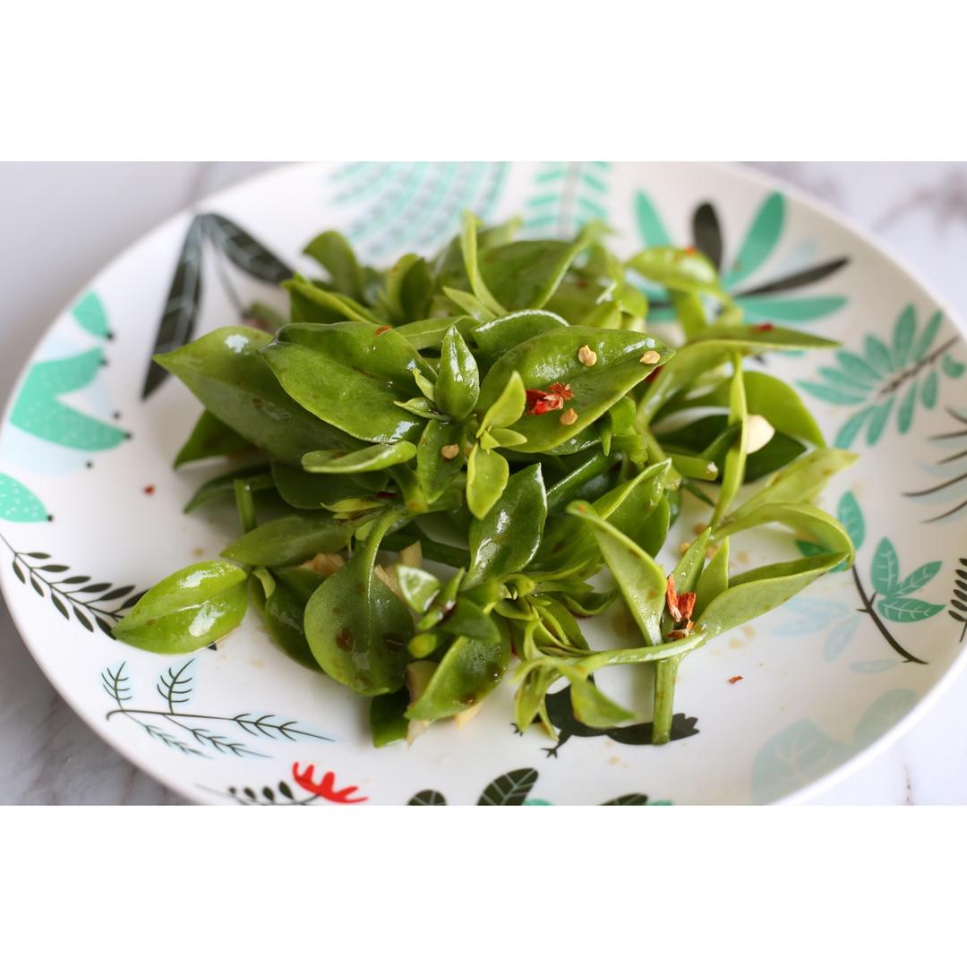 凉拌穿心莲