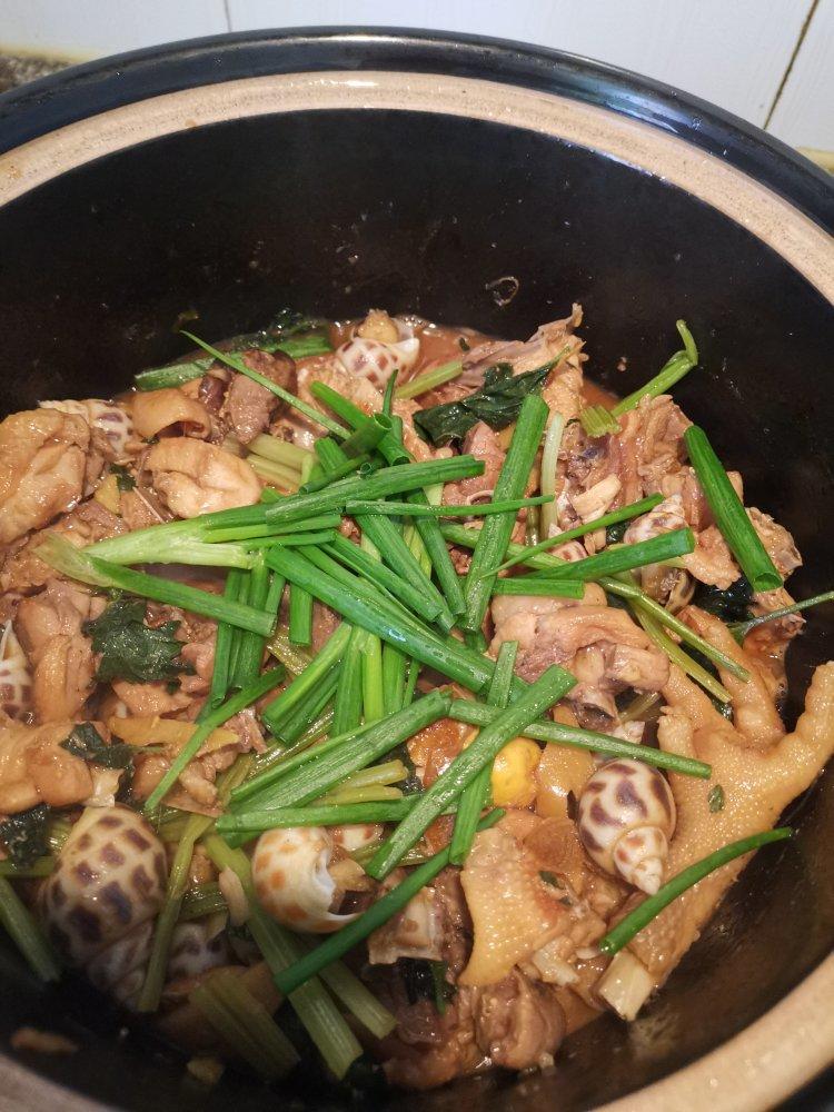 砂锅花螺焖鸡