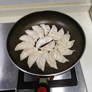 冰花煎饺(附鲜肉饺子方)的做法 步骤5