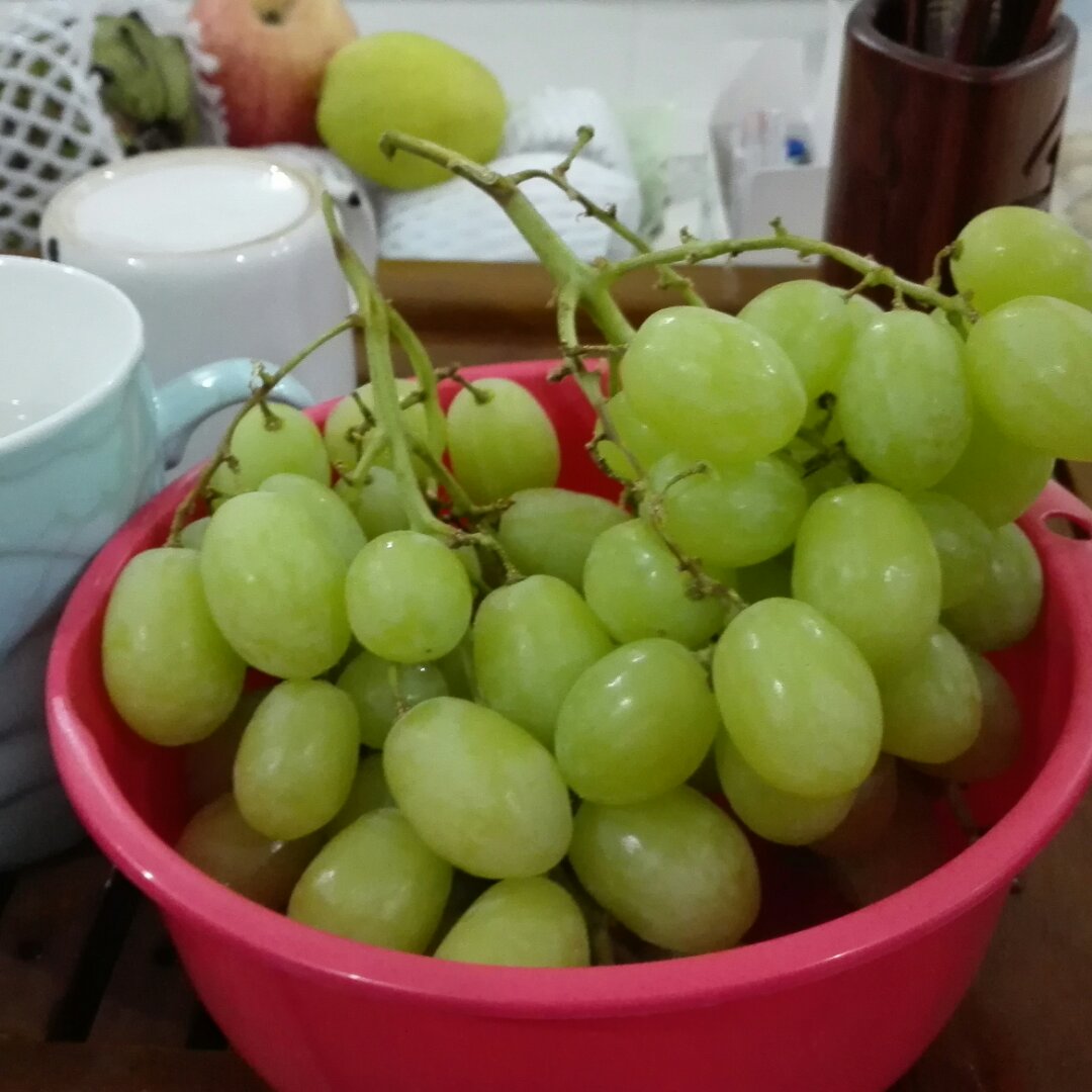 自己的厨房